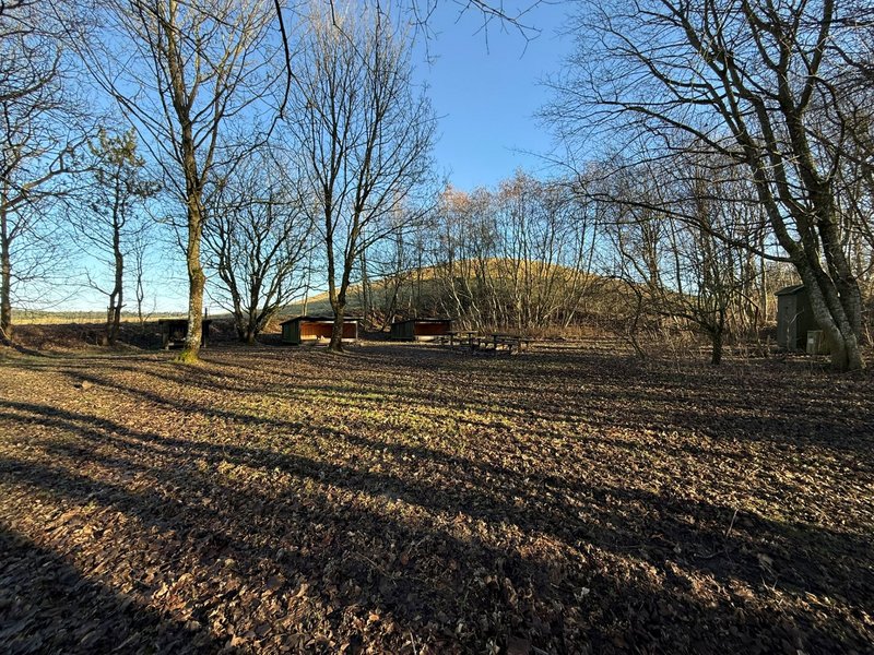 Bag ved shelterpladsen ligger udsigtspunktet. Foto: Brønderslev Kommune. 