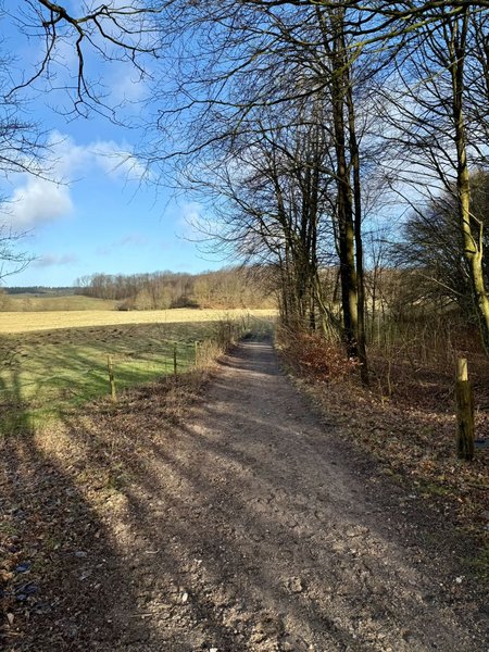 Ruten til shelterpladsen. Foto: Brønderslev Kommune. 